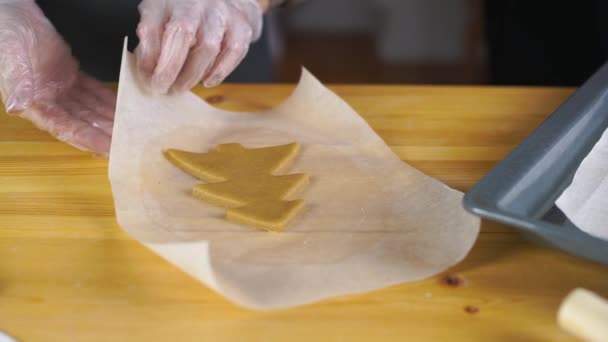 Ragazza preparare biscotti di pan di zenzero per Natale — Video Stock