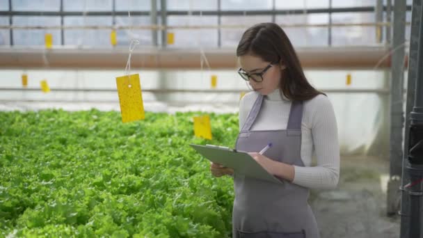 Groeiende groene salades en groenten in de kas. Hydroponics groeit in een kas. De tuinman, de een schrijft gegevens over de groei van planten. — Stockvideo
