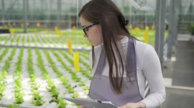 Genç bir çiftçi seradaki yeşillikleri kontrol ediyor. Bir botanikçi her yönden bir bitki inceler.