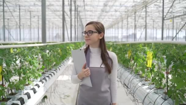 Mujer agrónoma examina las plantas verdes en invernadero. Poco a poco se mueve a lo largo de la fila con las plantas, mira con cuidado las plántulas jóvenes de los tomates y fija la información — Vídeo de stock