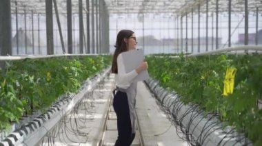 Agronomist yeni domates fidelerinin dikimi izler. Cucmber serada yürüyen ve veri yazmada kadın agronomist.
