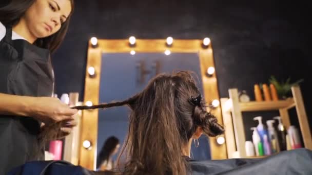 Cabeleireiro, cabelo penteado estilista do cliente feminino e usando barrette para fixar o penteado no salão de cabeleireiro profissional. Conceito de beleza e cuidado do cabelo . — Vídeo de Stock