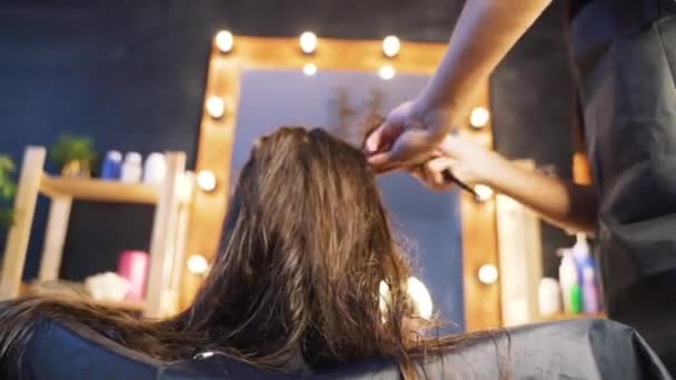 Kapper, stylist kammen haar van vrouwelijke cliënt en het gebruik van Barrette voor Fixing kapsel in de professionele kapsalon. Beauty en Haircare concept. — Stockvideo