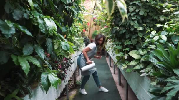 En vacker flicka i ett förkläde dansa i ett växthus. Florist Happy, dansa och skratta. — Stockvideo