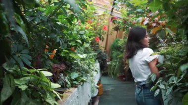 Serada dans eden önlükte güzel bir kız. Çiçekçi mutlu, dans ve gülme.