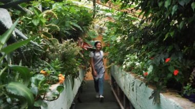 Serada dans eden önlükte güzel bir kız. Çiçekçi mutlu, dans ve gülme.