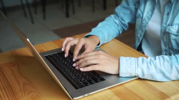 Linda morena usando laptop no café — Vídeo de Stock