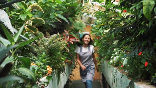 Una bella ragazza in grembiule che balla in una serra. Fiorista felice, ballando e ridendo . — Video Stock