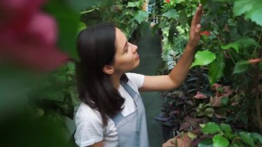 Genç girişimci çiçekçi benim sera çiçekler çiçek sahiptir.