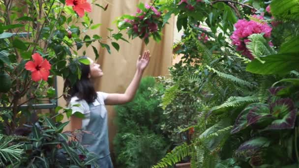 Jeune entrepreneur fleuriste apprécie la floraison des fleurs dans ma serre . — Video