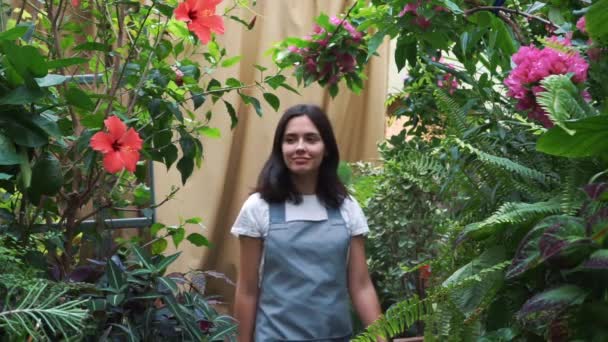 年轻的企业家花店享受鲜花盛开在我的温室. — 图库视频影像