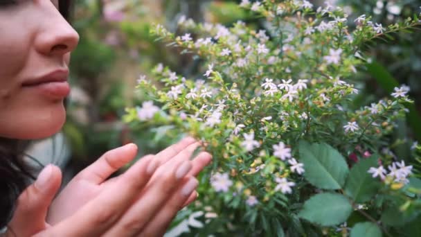 Ung entreprenör florist åtnjuter blommorna blommar i mitt växthus. — Stockvideo