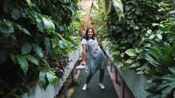 A beautiful girl in an apron dancing in a greenhouse. Florist happy, dancing and laughing. — Stock Video