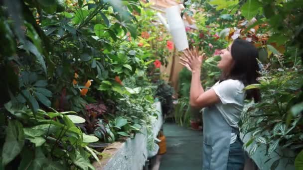 Une belle fille dans un tablier dansant dans une serre. Fleuriste heureux, danser et rire . — Video