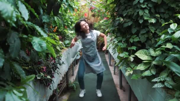 Una hermosa chica en un delantal bailando en un invernadero. Florista feliz, bailando y riendo . — Vídeos de Stock