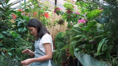 Genç girişimci çiçekçi benim sera çiçekler çiçek sahiptir.