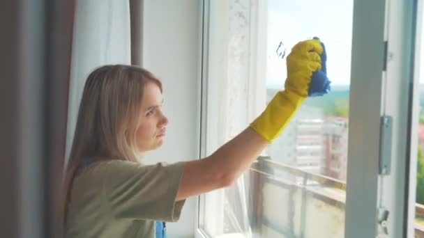 Het meisje is professioneel wassen van de ramen in het appartement, schoonmaken — Stockvideo