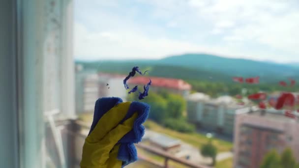 A lány professzionálisan mossa az ablakokat a lakásban, takarít — Stock videók