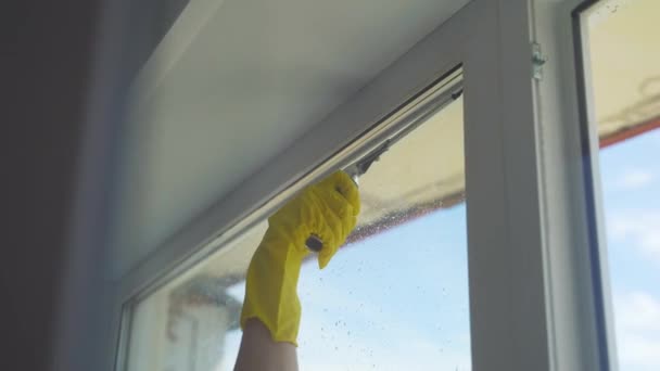 A lány professzionálisan mossa az ablakokat a lakásban, takarít — Stock videók