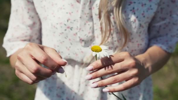 カモミールの葉をゆっくりと涙させる少女の手のクローズアップ — ストック動画