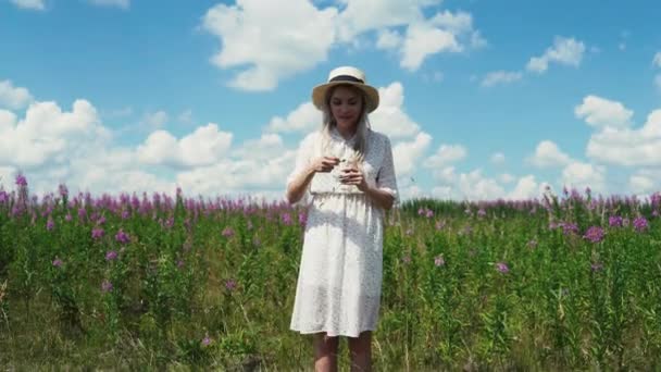 Una dulce y feliz muchacha vestida de blanco y sombrero arranca lentamente las hojas de un Camomole, de pie en el horizonte — Vídeos de Stock