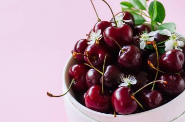 Beyaz bir kase taze olgun kiraz yığını. Pembe bir arka plan. 