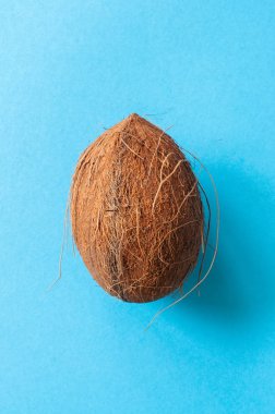 Mavi bir arka plan üzerinde tüm Hindistan cevizi. Üstten görünüm.