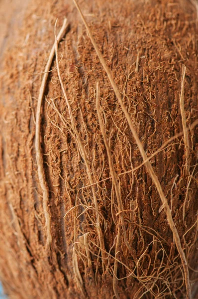 Coconut Shell Texture Natural Background Close — Stock Photo, Image