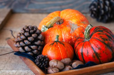 Üç kabak çam kozalakları ve pekan fındık ahşap arka plan üzerinde.