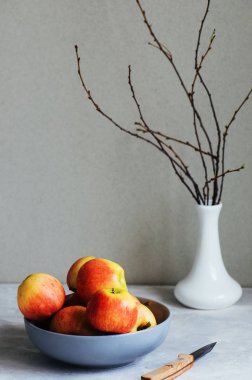 Bir tabak taze olgun elma grubudur. Gri taş arka plan. Natürmort.