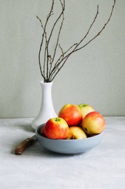 Bir tabak taze olgun elma grubudur. Gri taş arka plan. Natürmort.