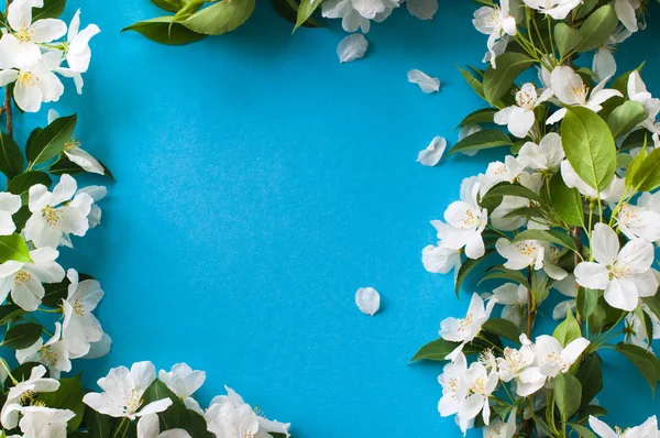Mooie Apple Blossom Lay Out Blauwe Achtergrond Kopiëren Van Ruimte — Stockfoto