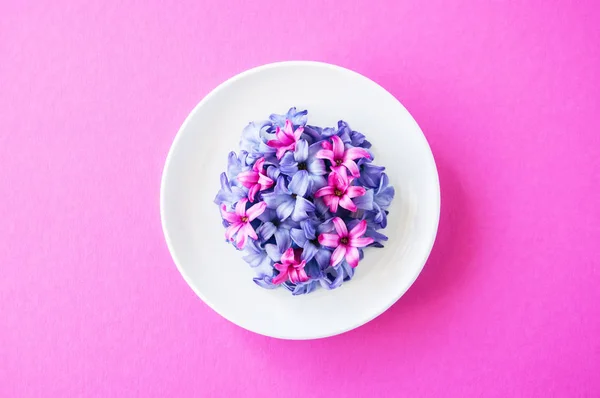Gruppe von violetten und magentafarbenen Blütenblättern der Hyazinthenblüte in einem weißen Teller — Stockfoto