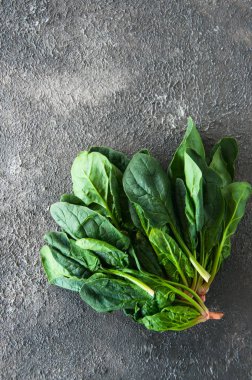 Gri bir arka plan üzerinde taze ıspanak yaprakları.