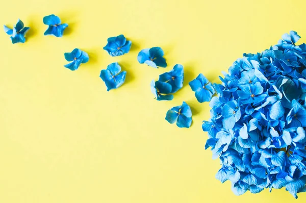 Mooie blauwe hortensia bloemblaadjes. Top View. — Stockfoto