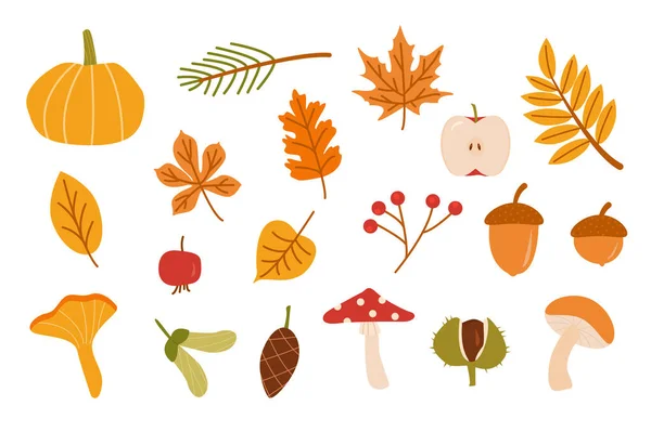 Осенний лес. Сбор опавших листьев, елового конуса, овощей, ягод, желудей, лесных грибов, выделенных на белом фоне. Цветные сезонные векторные элементы падения. Карикатура. — стоковый вектор