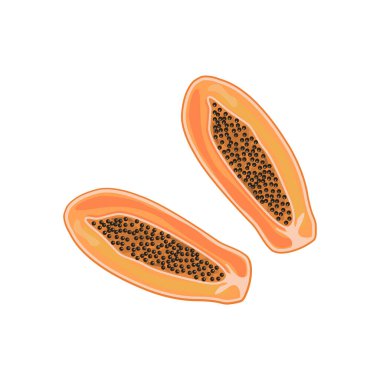 Olgun papaya kesimi, yarı egzotik lezzetli ve siyah tohumlu meyve. Düz vektör karikatür çizimi beyaz arkaplanda izole edildi