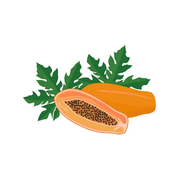 Mogen papaya tvärsnitt, hälften och hela exotiska läckra frukt med svarta frön och gröna blad. Platt vektor tecknad illustration isolerad på vit bakgrund — Stock vektor