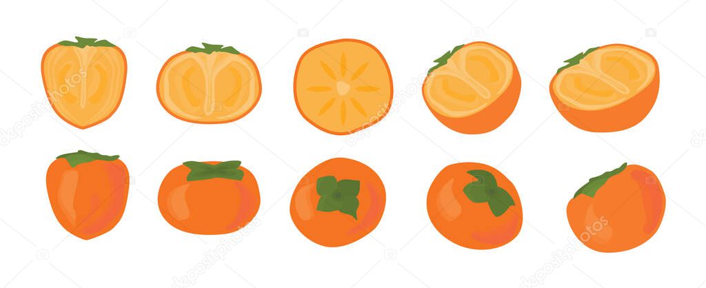 Set of persimmon fruit. Half cutted and whole piece. Slices of Kaki or date plum. Vector cartoon illustration for Korean Chuseok holiday in flat style. Autumn harvest. 