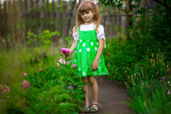 Kleines Mädchen Spaziert Grünen Garten Sonnigen Sommertagen — Stockfoto