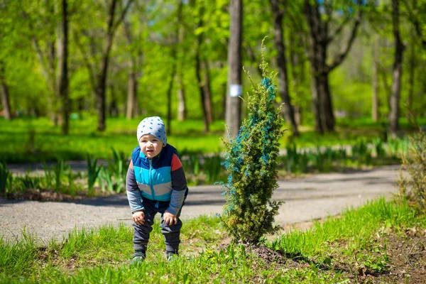 Malý Chlapec Hrát Parku Slunečný Den Jaro Městském Parku Dětství — Stock fotografie