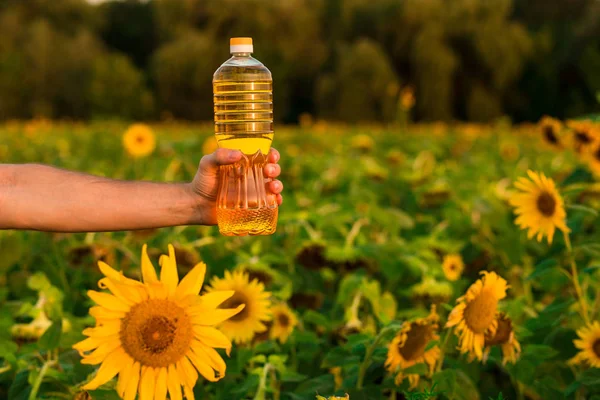 Man\'s hand hold bottle of sunflower oil. Sunflower oil improves skin health and promote cell regeneration