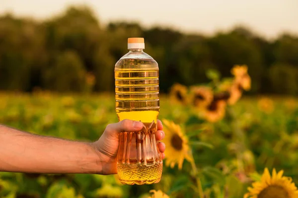 Man Hand Hold Bottle Sunflower Oil Sunflower Oil Improves Skin — Stock Photo, Image