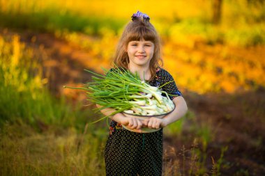 Mutlu küçük kız yardım Anne gözyaşı soğan bahçesinde. Bol hasat ile tatlı küçük kız