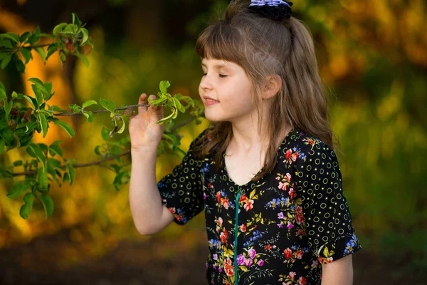 Bella Bambina Odora Albero Tramonto — Foto Stock