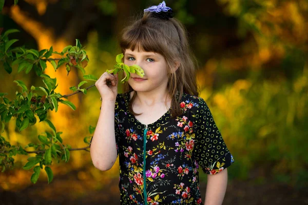 Hermosa Niña Huele Árbol Atardecer — Foto de Stock