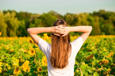 Eller yukarı ayçiçeği alanı uzun saçlı Genç kadın. Güzellik kız açık havada doğanın keyfini