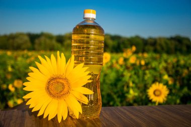 Ayçiçek yağı arka plan üzerinde güzel alan ahşap masa üzerinde şişede. Fotoğraf kopyalama alanı alanı için metin ile