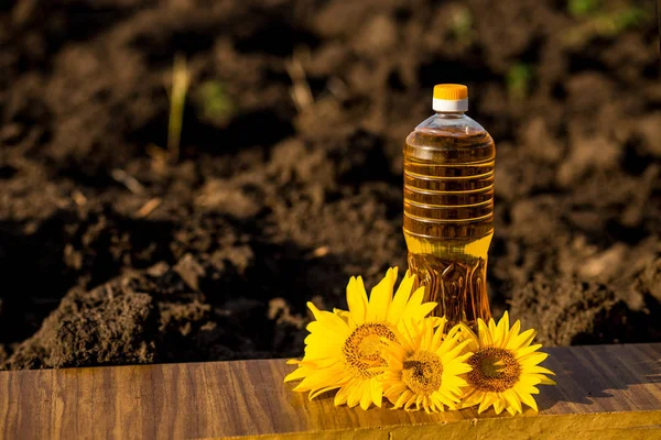 Sunflower oil in bottle on wooden table with ground background. Photo with copy space area for text