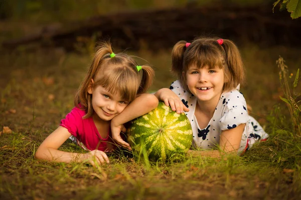 Sorelline Felici Trovano Erba Abbracciano Anguria Molto Grande Giorno Soleggiato — Foto Stock